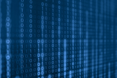 The Importance of Robust Software